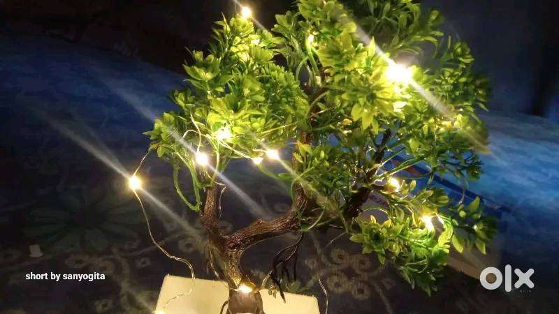 WHANDLY 24cm LED Artificial Bonsai Plant