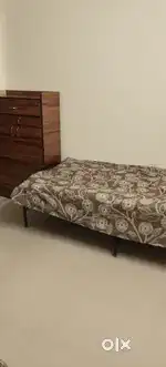 Pg available for girls only near nehru colony (A) block