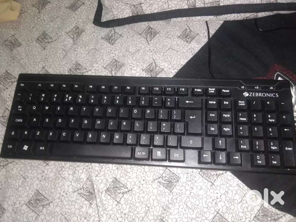 Wired Zebronics Keyboard and Quantron Mouse With Premium quality