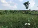4 bisba plot