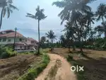 Land for sale -5cent,10cent,60cent