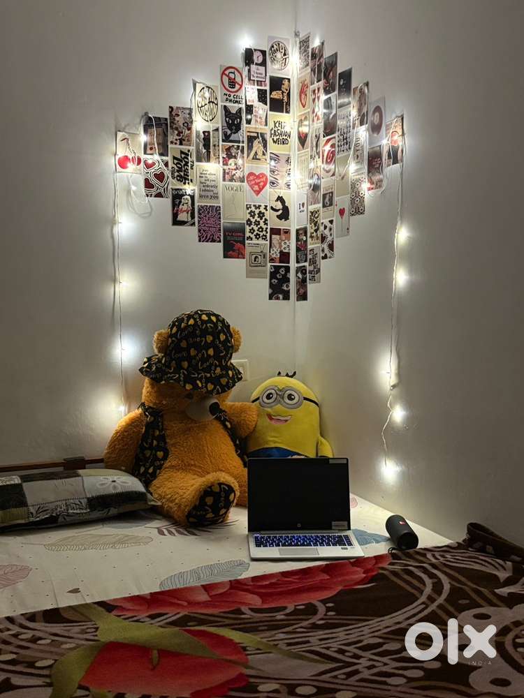 Need a female Roomate