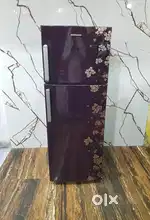Kelvinator flower model double door refrigerator