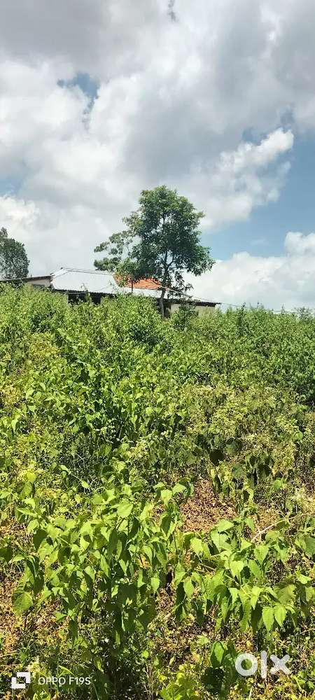 250 cent land sale parambu purayidam kaliyal  alamjola  nagarkovil