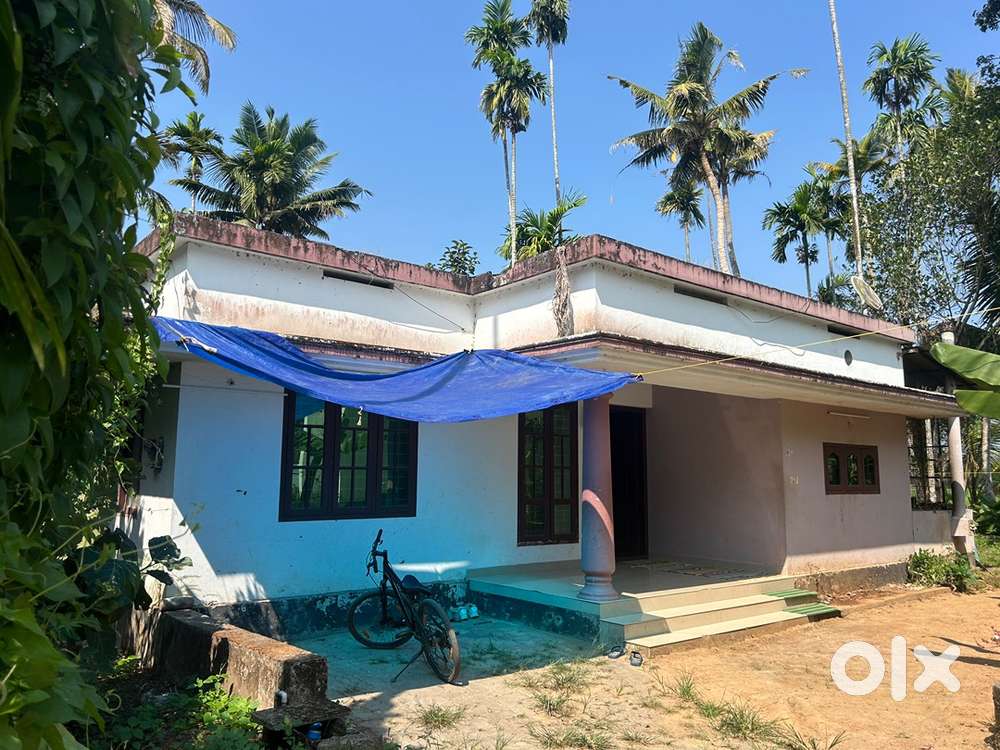 Urgent sale 10 cent plot with house