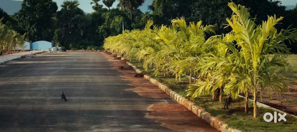 Closed to air port national Highway
