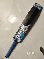 Plastic bat