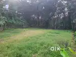 20 cent land Vettickal