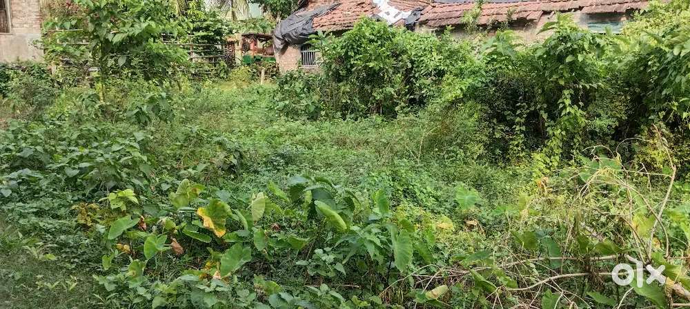 Hizlock,Bagnan, howrah 3katha plot