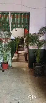 Chinese master