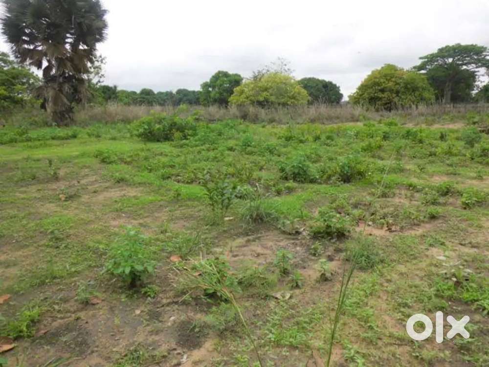 Plot for Sale near Melmaruvathur