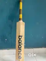 Cricket bat