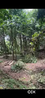 1025 sqmtrs at loutolim devote waddo,2.2kms from loutlim church and 5m