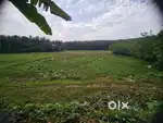 Agricultural land