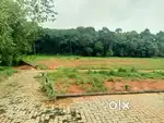MANAKKAKADAVU NEAR BIBLE COLLEGE 50 CENTS DIVIDED PLOTS.