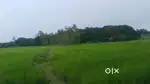 नवरात्रि के शुभ अवसर पर जमीन का बिक्री करें ऑफर के साथ मे
