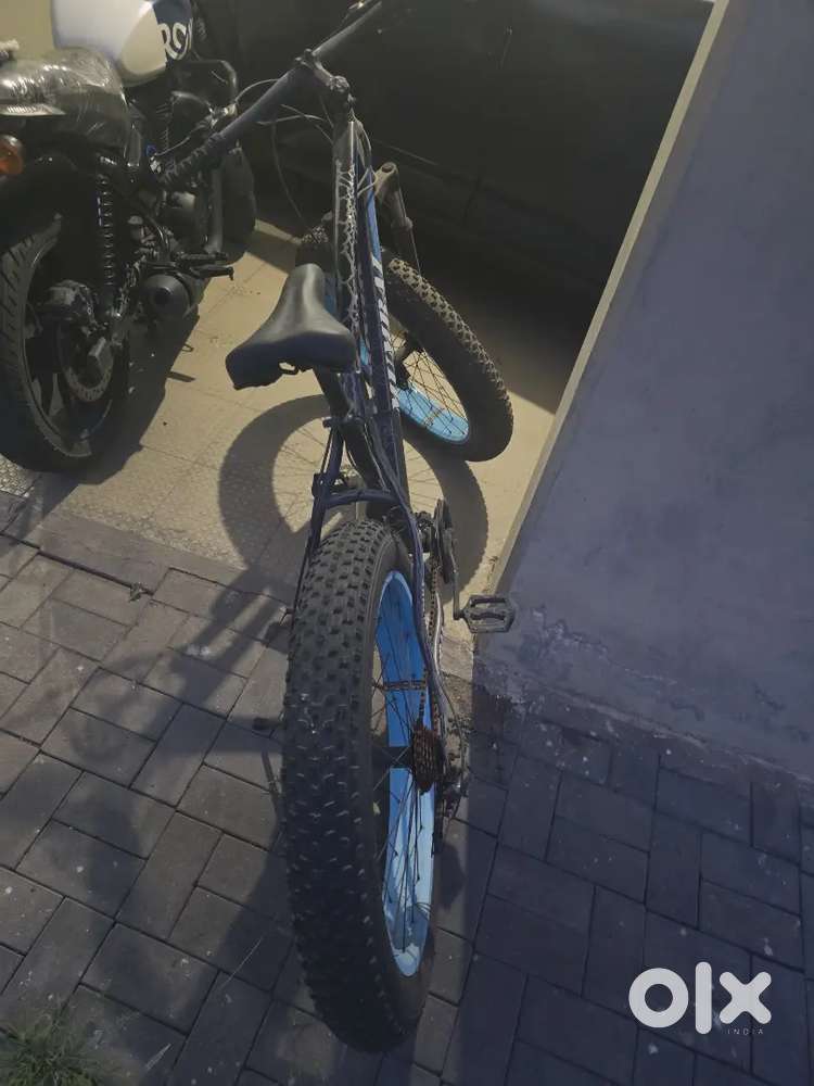 Fat tyre cycle