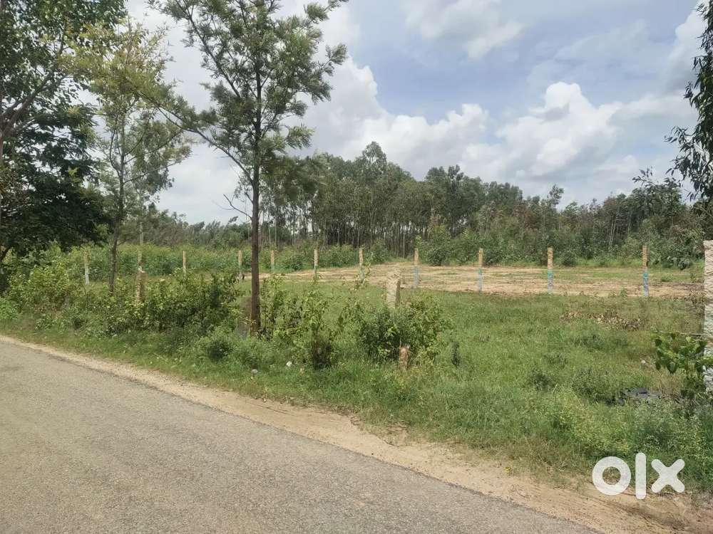 5000 Sft PLOT FOR SALE