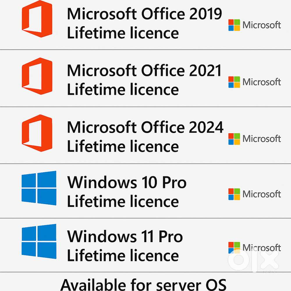 Ms office 2024 and windows