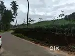 Kothamangalam chelad 10 acre for sale