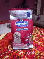 Dog pet food