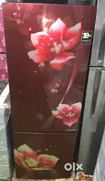 Double door fridge