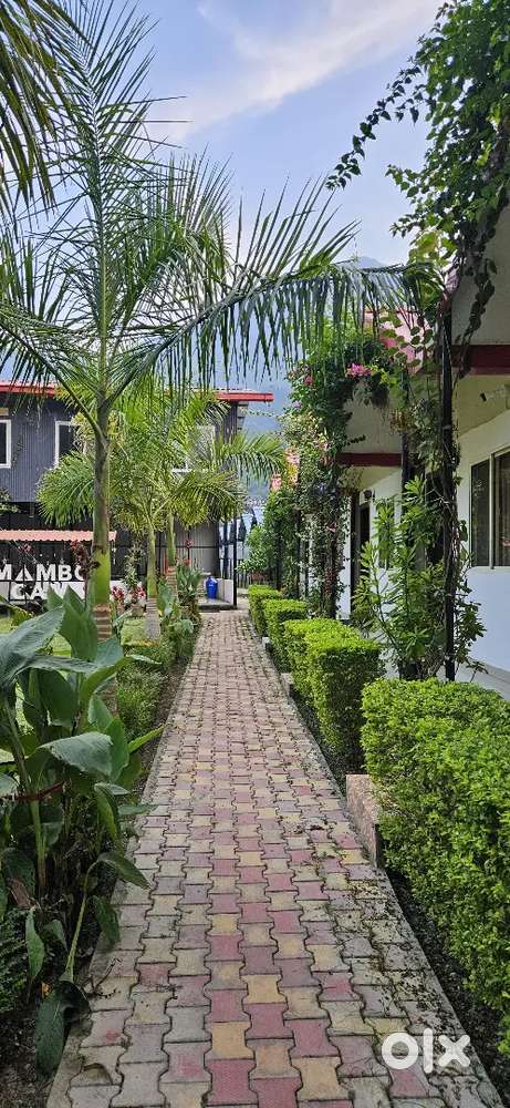 Cook Required for Resort in Mohanchatti Near Rishikesh