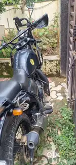 Himalayan on sale