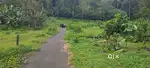 Kodugoor.10 cent house plot.1.60 .lakh.