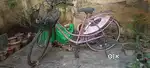 Pink cycle Lady Bird (BSA)