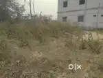 Plot at asangi