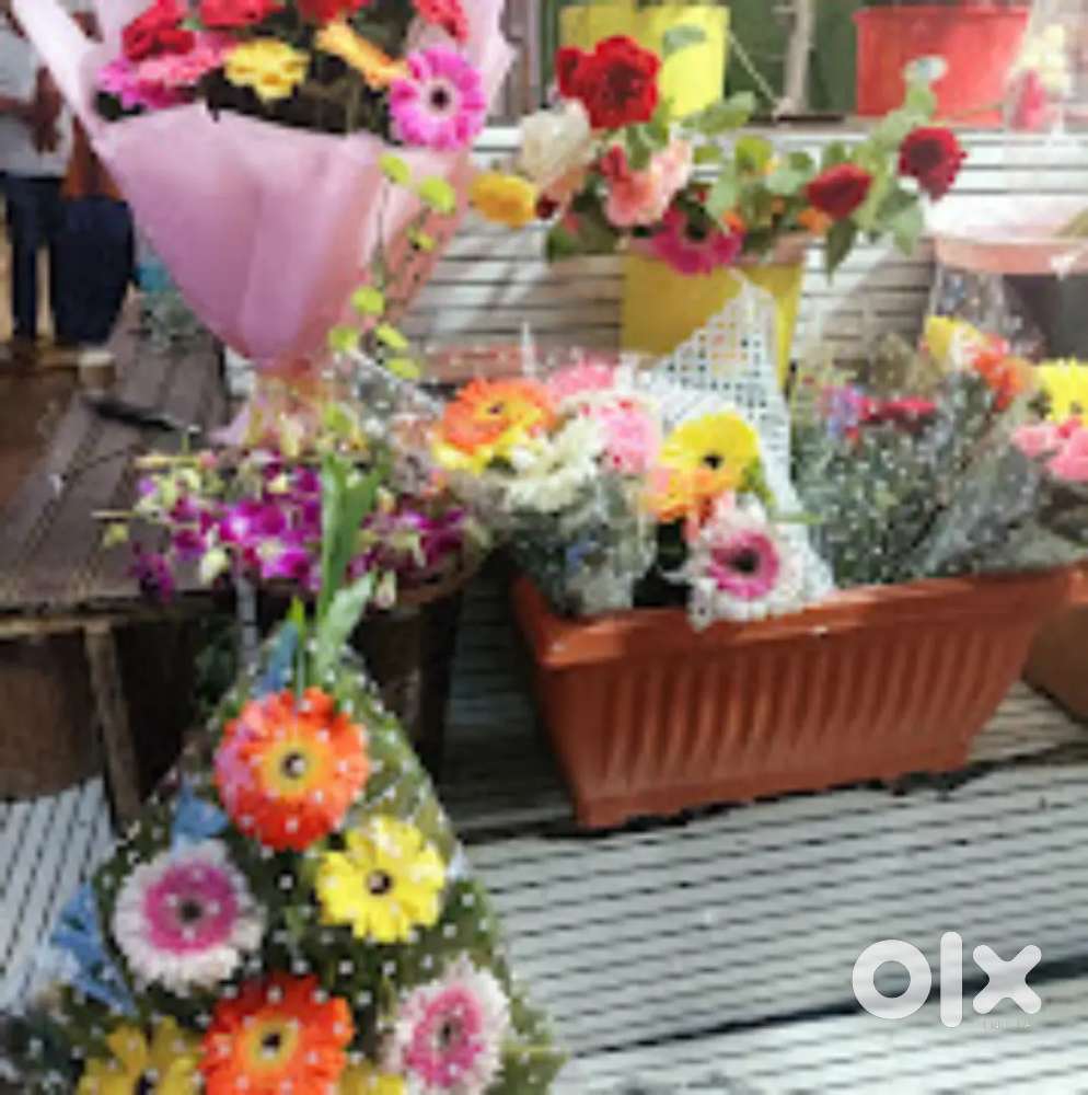 Immediate required Boy/Girl Employee to Manage Florist Store