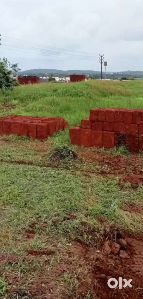 निवळी गणपतीपुळे हायवे लगत करबुडे पेट्रोल पंप समोर