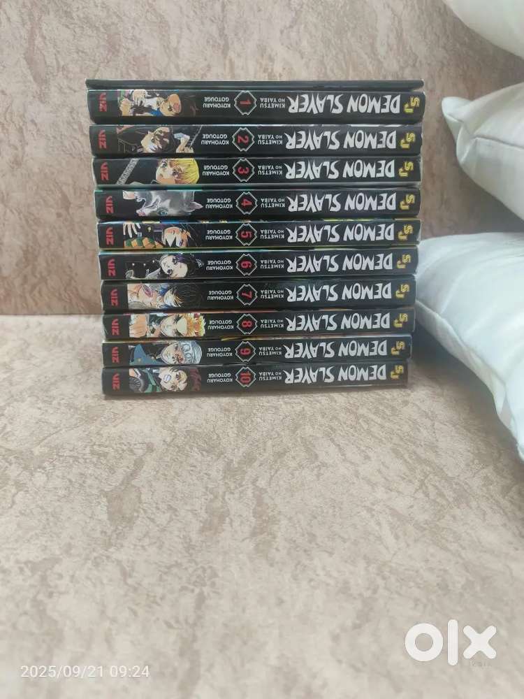 Demon slayer manga volume 1-10 (black and white)