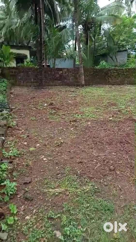 land for sale near ullala mukkchery