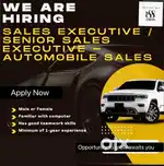 Used car sales person  required