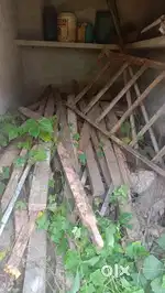 Viraku wood