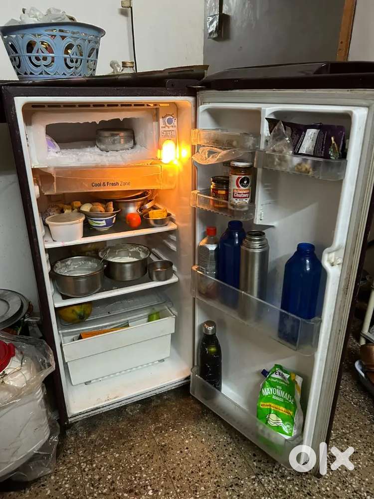 Fridge single door