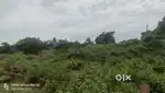 Plot for sale
