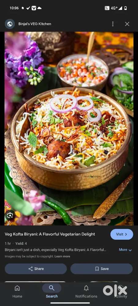 Fast food and biryani chaff indian local chsff