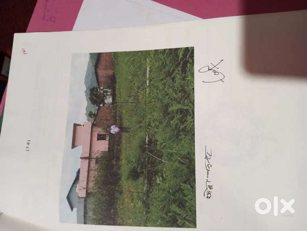 Bast propty of sall in katghriya pniyali mastar school