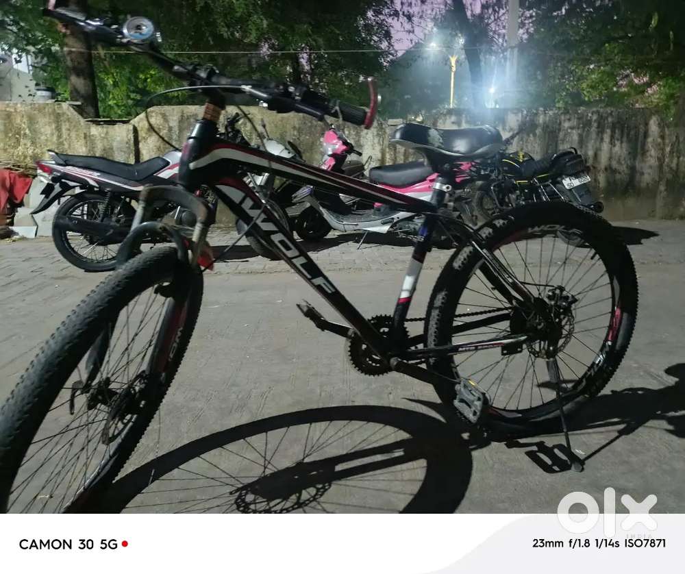 Shandar condition mein