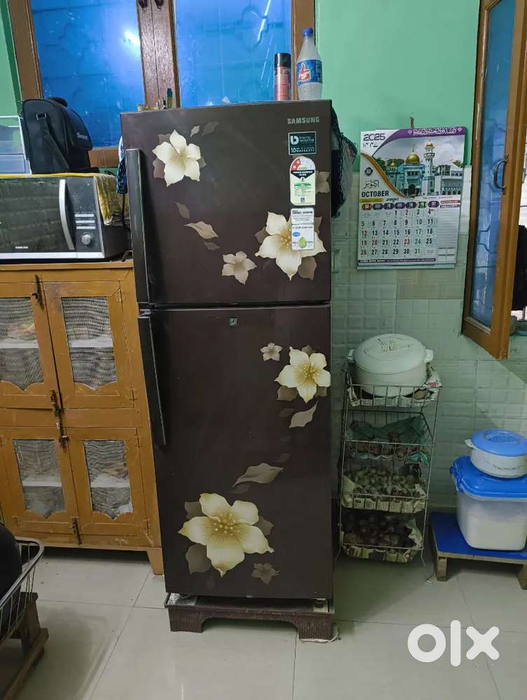 Samsung 253 Liter