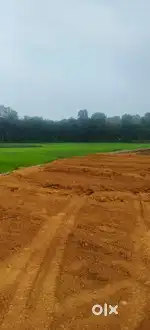 പാലാ ചേർപ്പങ്കൽ പള്ളിക്ക് സമീപം ഹൗസ് പ്ലോട്ടുകൾ വില്പനയ്ക്ക്