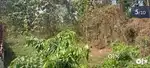 Land at Khusiabill