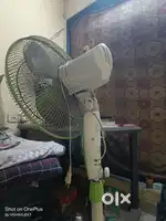 Havels stand fan