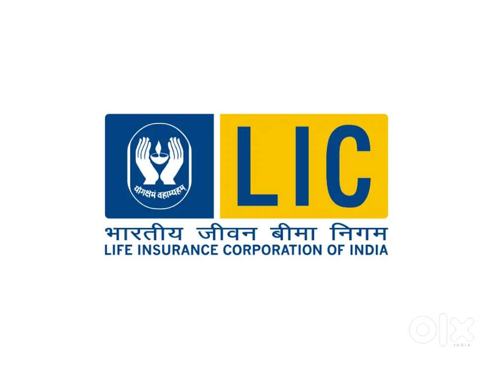 LIC Office Job Available Hai