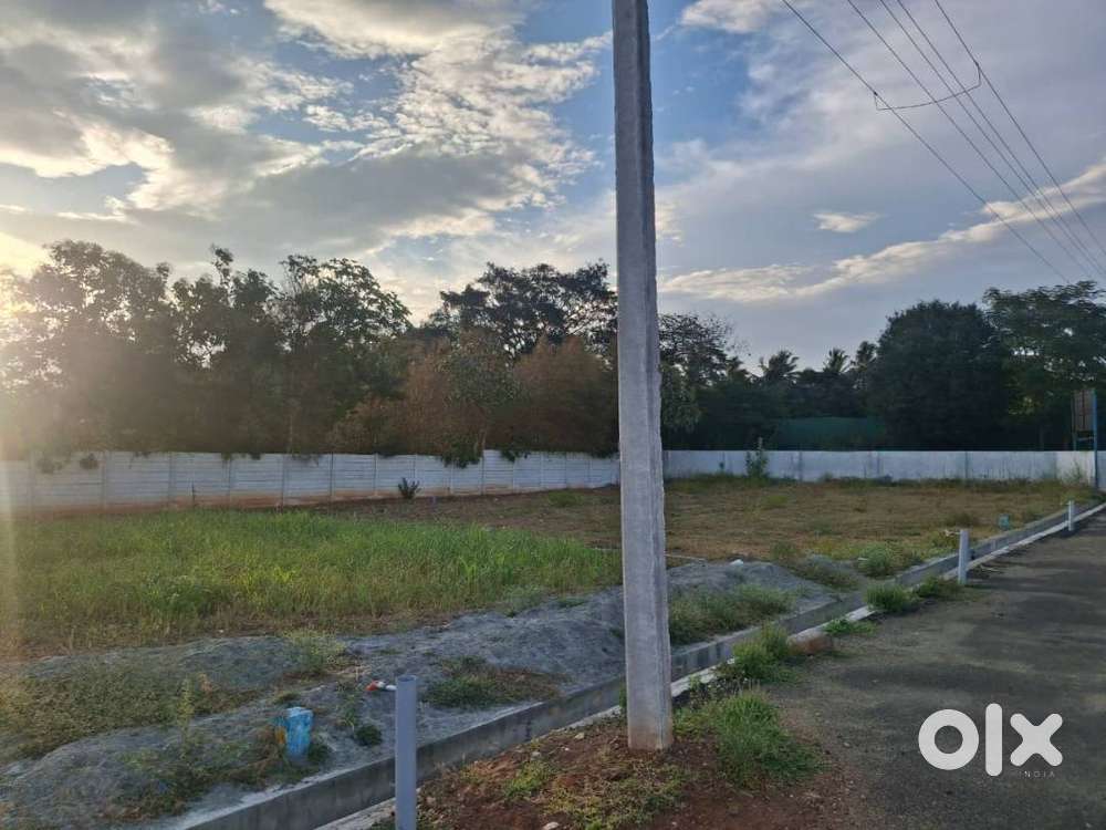 Okkilipalayam East Facing House Site For Sale