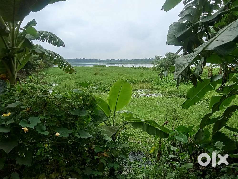 6.5 katta plot and property