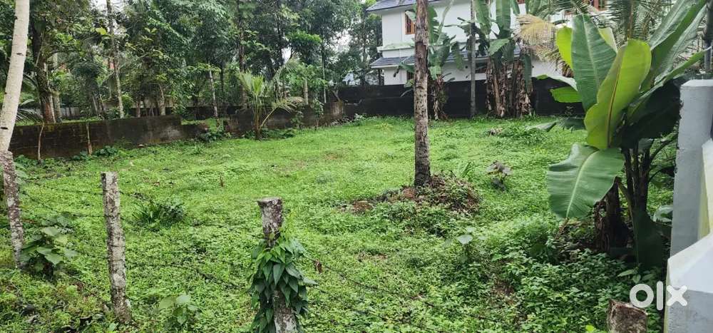 20+10 cents of land in mulakuzha, 50m from MC Road.